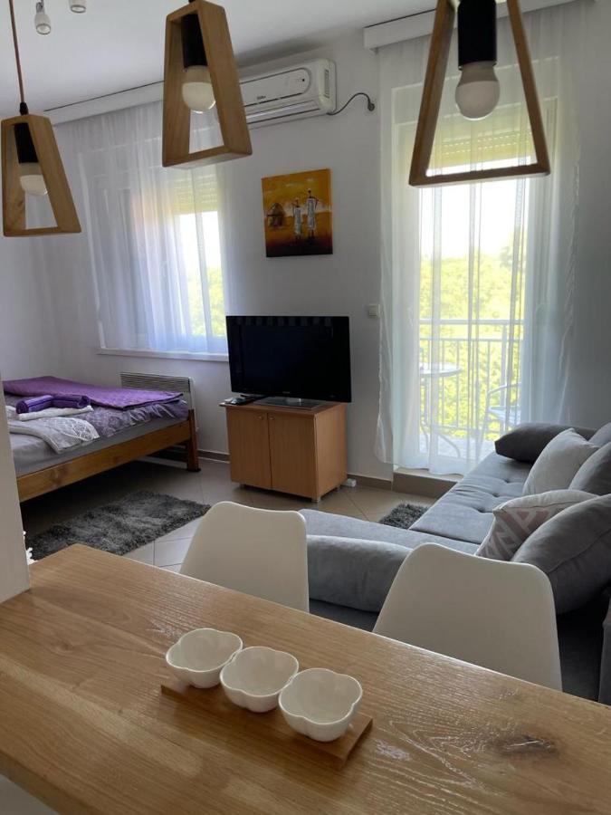 Apartman Lukic Banja Koviljača Exterior foto